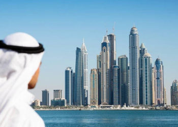 الشركات الناشئة في الإمارات