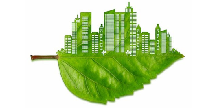 مشروعات خضراء