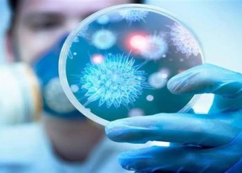 فيروس كورونا يتسبب فى تأجيل مؤتمر شبكة سنابل للتمويل متناهى الصغر فى الغردقة