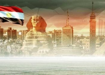 ارتفاع  عدد الشركات الناشئة التي حصلت على استثمارات في مصر إلى 142