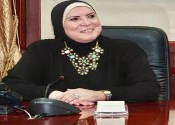 نيفين جامع وزيرة التجارة والصناعة