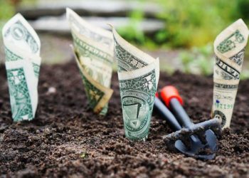 تقرير: مصر في المرتبة الثانية من الدول الاكثر استعدادًا للتغيرات في ريادة الأعمال