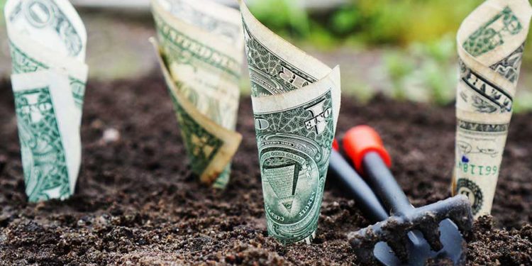 تقرير: مصر في المرتبة الثانية من الدول الاكثر استعدادًا للتغيرات في ريادة الأعمال