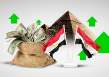 الشركات الناشئة في مصر