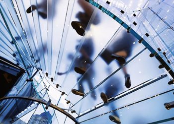 استبيان عن مدى اهتمام المصريين بالشركات الناشئة.. تعرف على النتائج؟