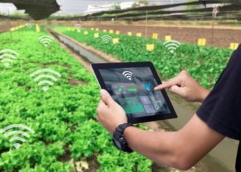 الثلاثاء المقبل.. انطلاق مؤتمر الزراعة المصرية الإفريقية الحديثة في الأزمات الوبائية