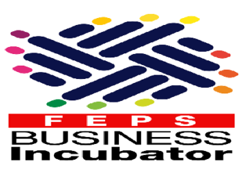 تعرف على أهم حاضنات الأعمال الداعمة للشركات الناشئة في مصر ؟