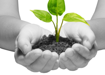 تعرف على أهم حاضنات الأعمال الداعمة للشركات الناشئة في مصر ؟