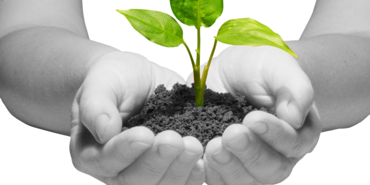 تعرف على أهم حاضنات الأعمال الداعمة للشركات الناشئة في مصر ؟