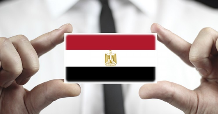 مصر الأعلى استثمارًا في الشركات الناشئة