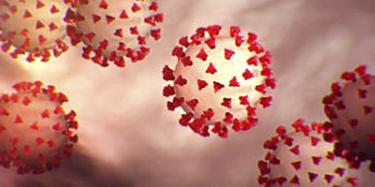 ما هي حلول الشركات الناشئة لمواجهة فيروس كورونا covid 20 ؟