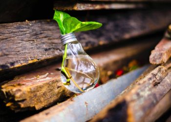 56% يفضلون شراء المنتجات عبر الانترنت و 45% يميلون للشركات الناشئة المصرية