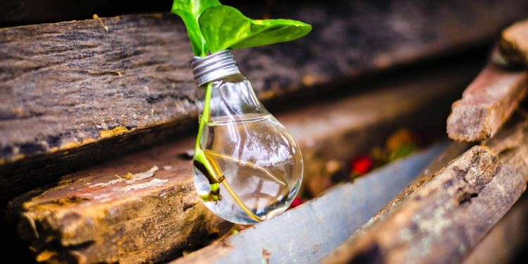 56% يفضلون شراء المنتجات عبر الانترنت و 45% يميلون للشركات الناشئة المصرية