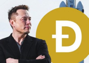 تغريدة «إيلون ماسك» تقفز بعملة «الدوجكوين» لأكثر من 7000%