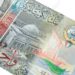 سعر الدينار الكويتي