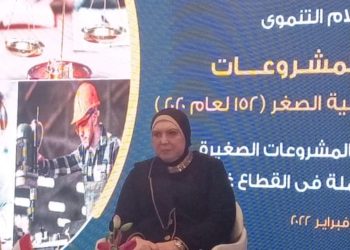 نيفين جامع الرئيس التنفيذي لجهاز تنمية المشروعات