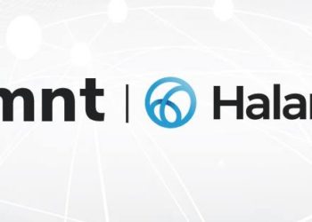 شركة إم إن تى حالا