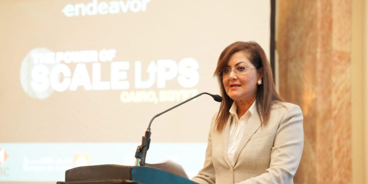 هالة السعيد وزيرة التخطيط