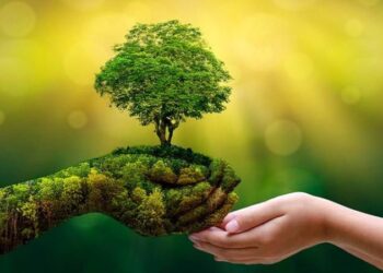 المشروعات الناشئة الخضراء