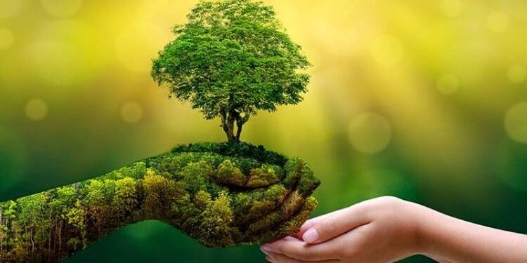 المشروعات الناشئة الخضراء