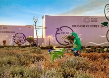 شركات ناشئة في مجال البيئة