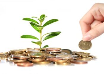 صندوق التنمية المحلية