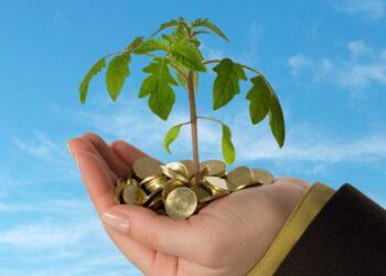 المشروعات الصغيرة والمتوسطة egy