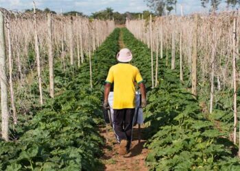 لدعم صغار المزارعين.. البنك الزراعي يستهدف ضخ 15 مليون جنيه في 7 قرى