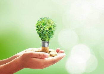 المشروعات الخضراء