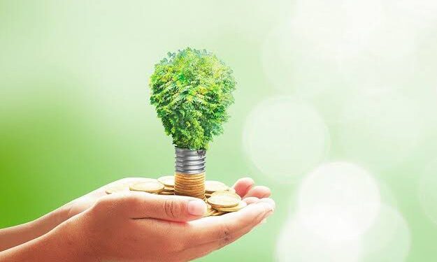 المشروعات الخضراء