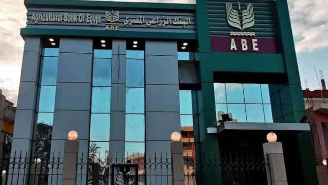 البنك الزراعي يضخ 25.6 مليار جنيه لتمويل إنتاج المحاصيل الزراعية نهاية سبتمبر 2024