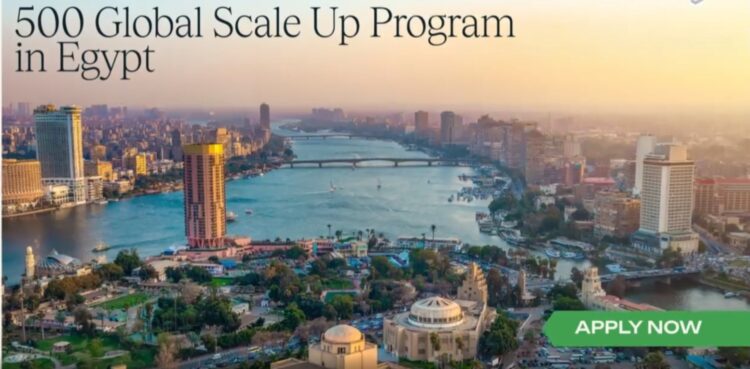 الدفعة الثالثة من برنامج scale up