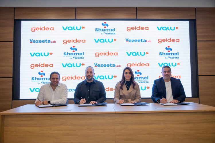 تعاون ڤاليو مع ڤيزيتا وجيديا