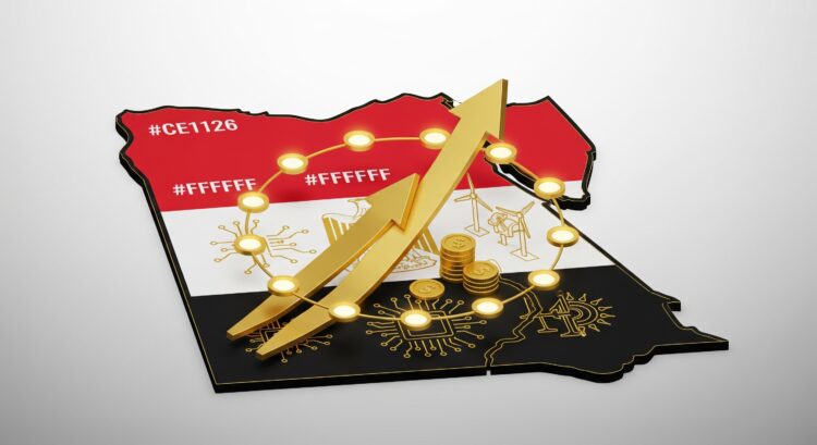 استثمارات-الشركات-الناشئة-مصر-2025.jpg`