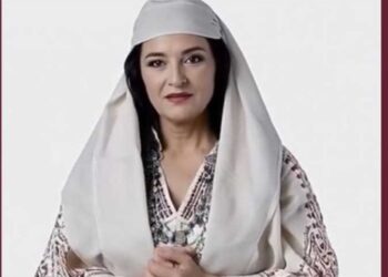 وزيرة رقمية