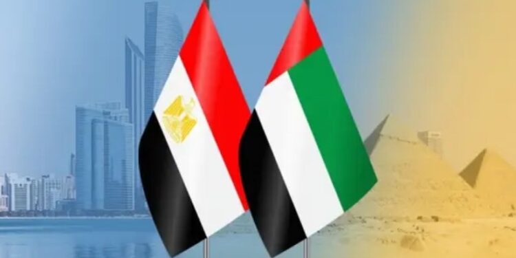    صادرات الصناعات الغذائية المصرية إلى الإمارات ترتفع بنسبة 14% خلال النصف الأول من 2025