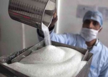 الحكومة تقرر حظر تصدير السكر لمدة 6 أشهر لحماية الأمن الغذائي