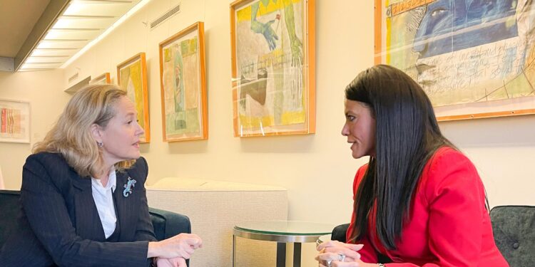 مباحثات رانيا المشاط مع البنك الأوروبي