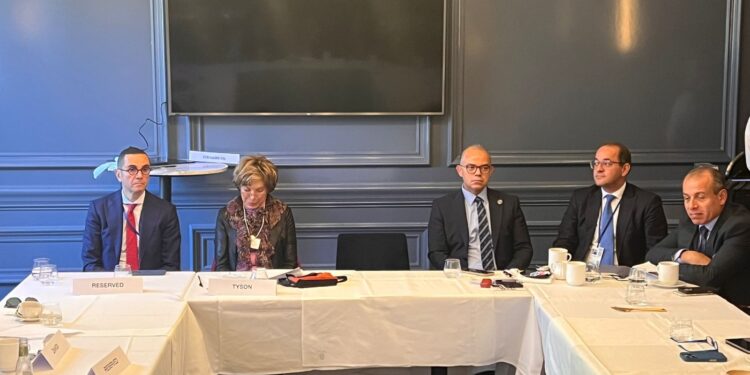 وزير الاستثمار