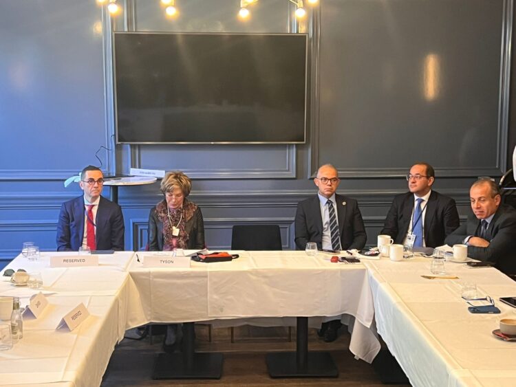 وزير الاستثمار