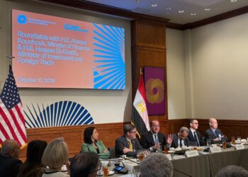 وزير المالية: السوق المصرية قادرة على جذب مئات الشركات الخاصة