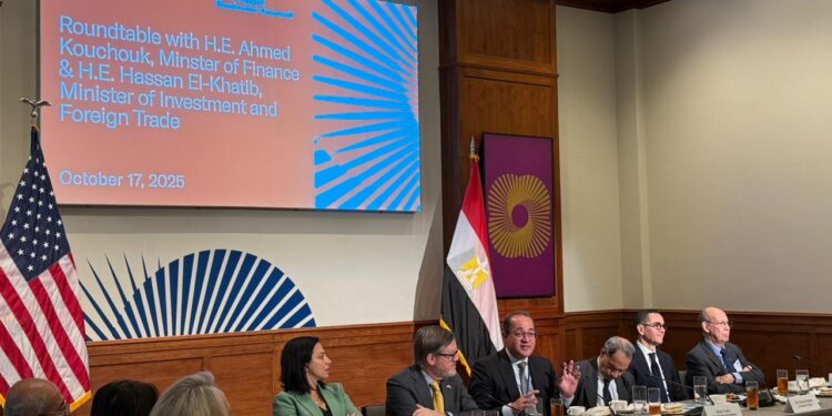 وزير المالية: السوق المصرية قادرة على جذب مئات الشركات الخاصة