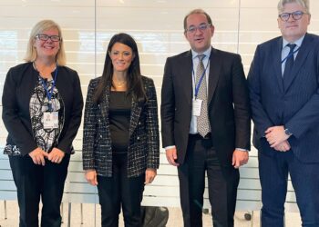 أكثر من 700 مليون دولار محفظة ضمانات وكالة “ميجا” للقطاع الخاص في مصر