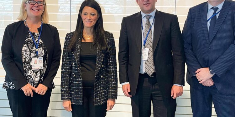 أكثر من 700 مليون دولار محفظة ضمانات وكالة “ميجا” للقطاع الخاص في مصر