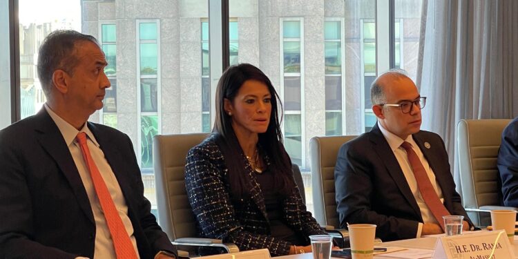 القاهرة تقدم تجربتها في دعم الشركات الناشئة أمام مؤسسات الفكر المالي العالمية