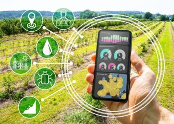 صورة تعبيرية عن الزراعة والشركات الناشئة