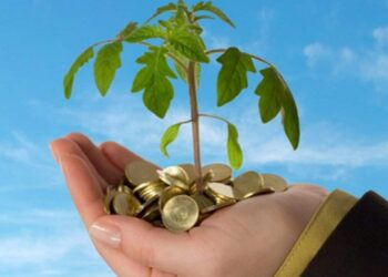 تفاصيل قرار المالية الجديد بشأن المشروعات التي لا يتجاوز حجم أعمالها 20 مليون جنيه