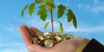 تفاصيل قرار المالية الجديد بشأن المشروعات التي لا يتجاوز حجم أعمالها 20 مليون جنيه