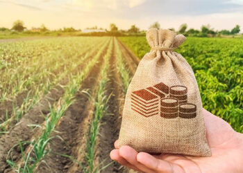 كيف يدعم البنك الزراعي المصري المزارعين