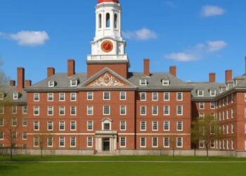 من هارفارد إلى قلب الدولة.. المالية تعمّق الاستثمار في القيادات الشابة وتعزيز التنافسية العالمية